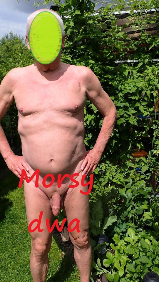 W słoneczku. Wariacje na słońce i ... - Morsy_dwa