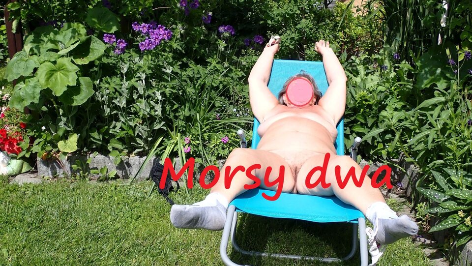 W słoneczku. Wariacje na słońce i ... - Morsy_dwa