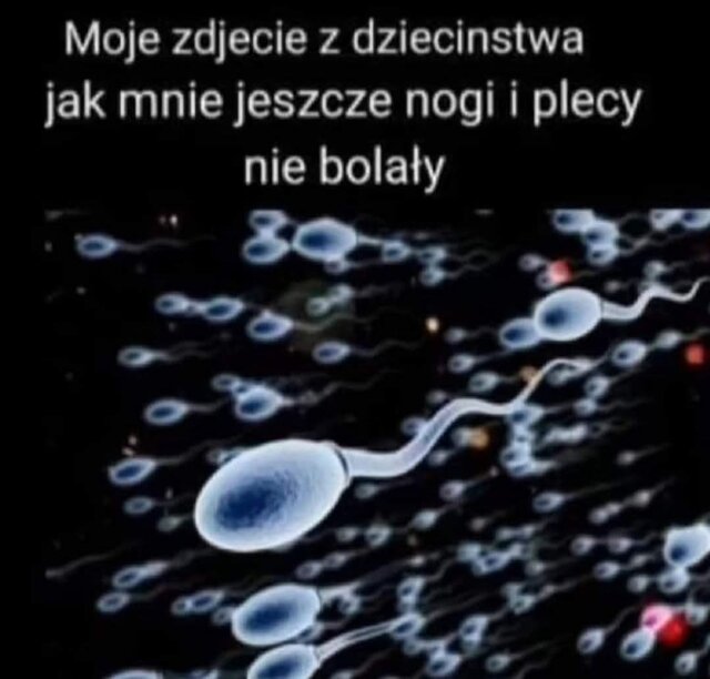 Facetaxipoznan