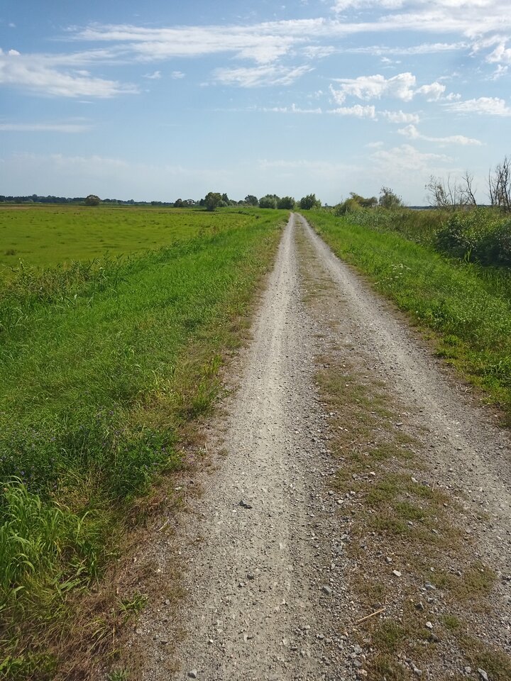 7060ed89-0d93-482f-ac43-b9ddbe5ae132-1_all_1281.jpg - MrNobody70