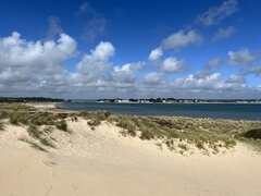 IMG_4643.jpeg