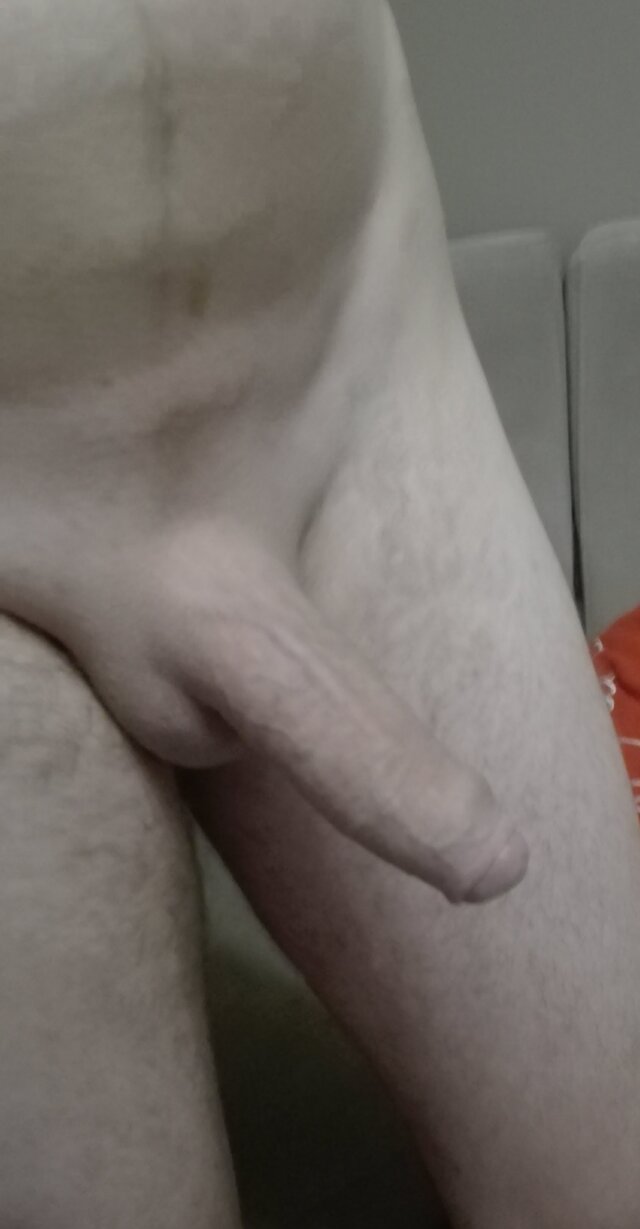 bambi40