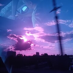 20260612_191208.jpg