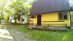 CHECHŁO - 20260524_0949.mp4_snapshot_01.10_[2026.05.24_17.36.55