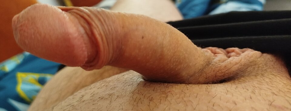 1000015495.jpg - PrzystojnyBrun