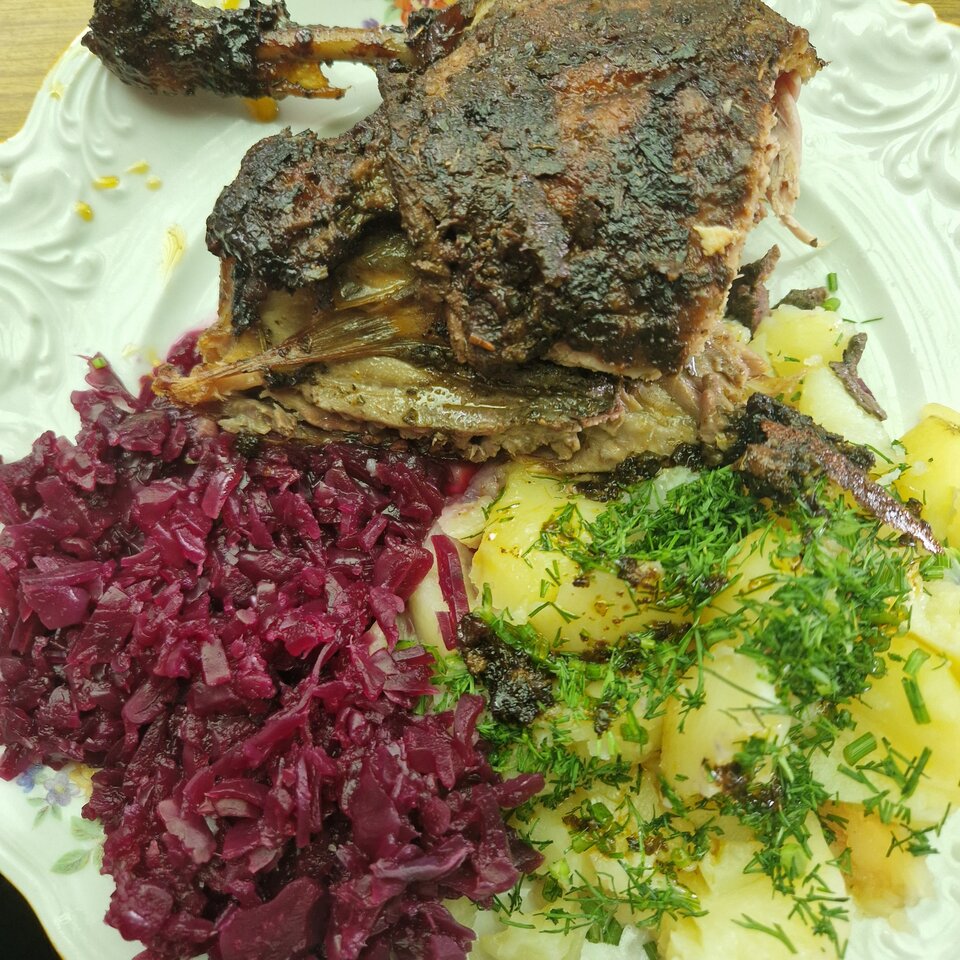Niedzielny działkowy obiadek😋 - rozmowa_kontrolowana