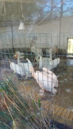 20170514_140409.jpg