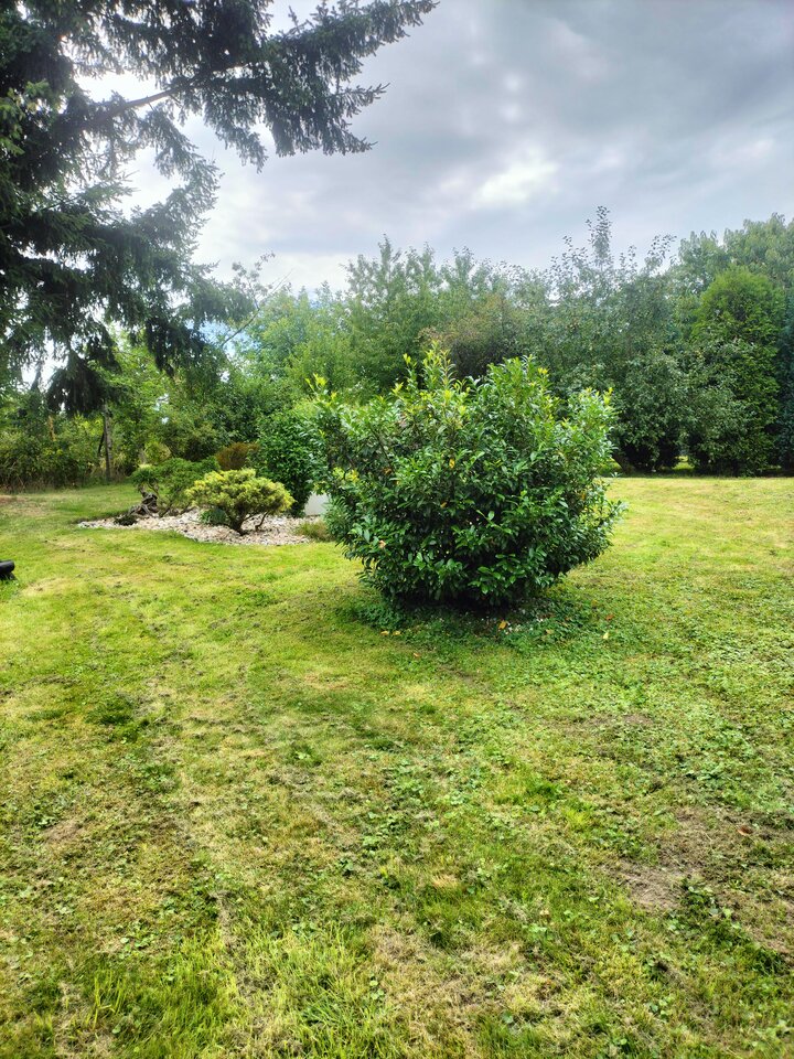1000013836.jpg - Mileneusz