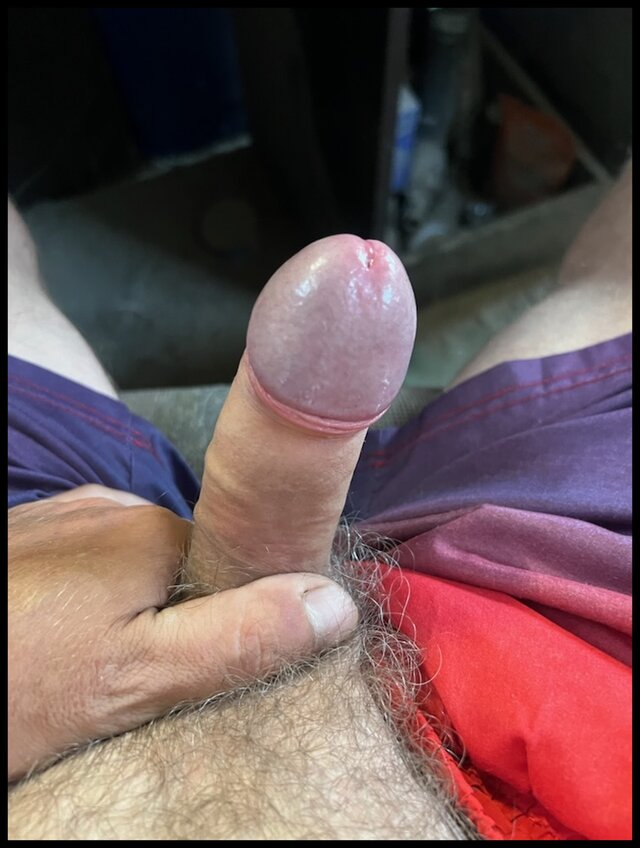 seksi1981