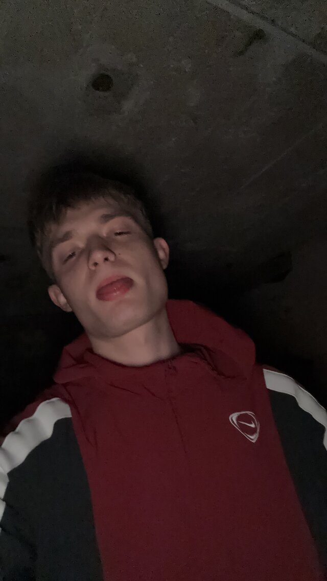 Sebek2003333