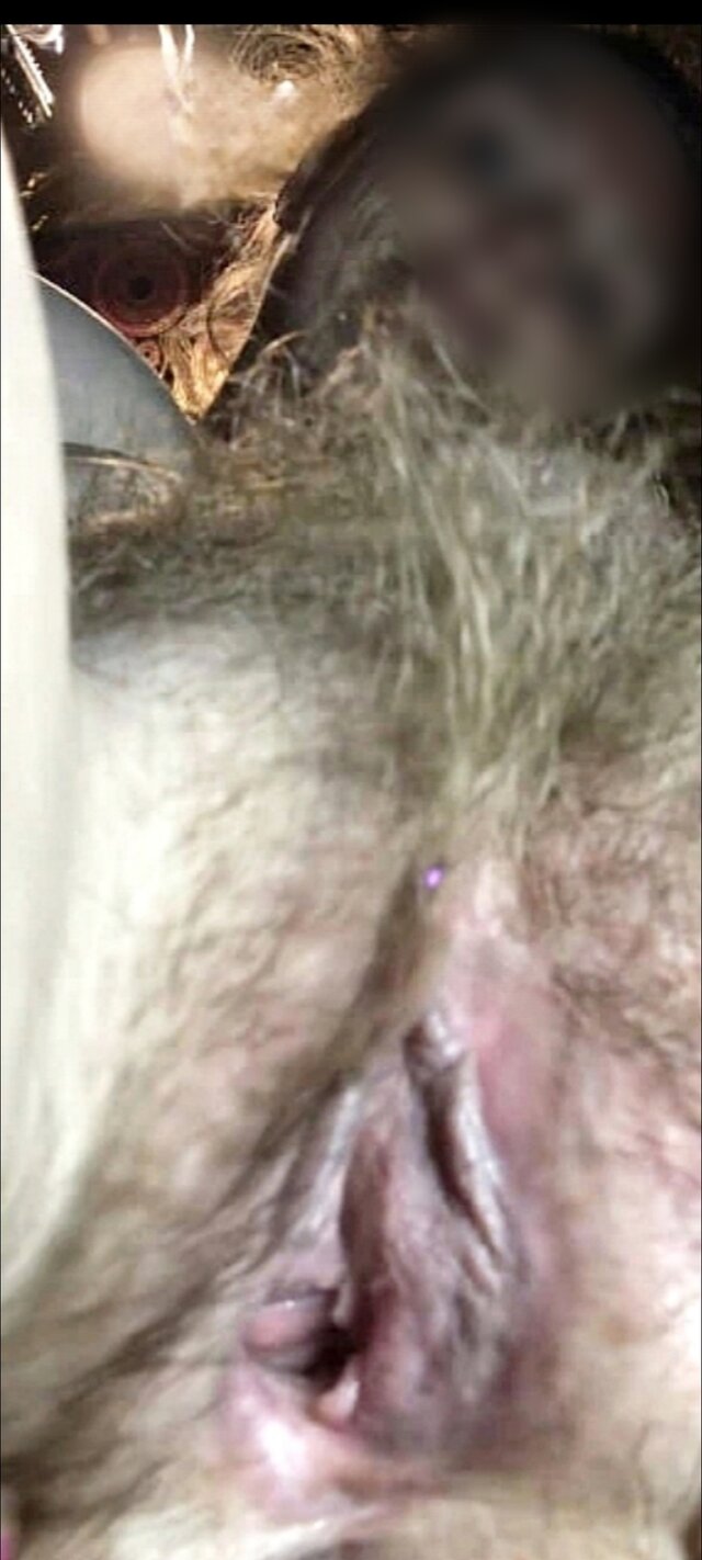 Wilki71