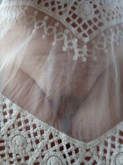 IMG_20260616_091120_1.jpg