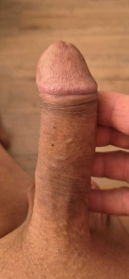 16669.jpg - Pan679