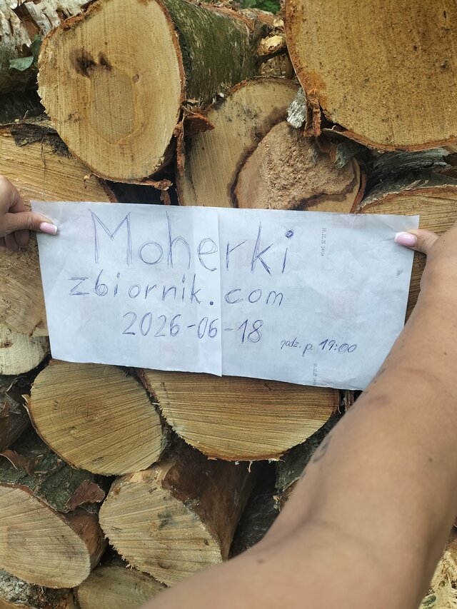 Moherki