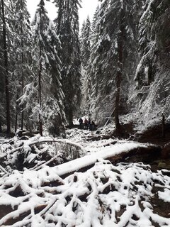 Winter!