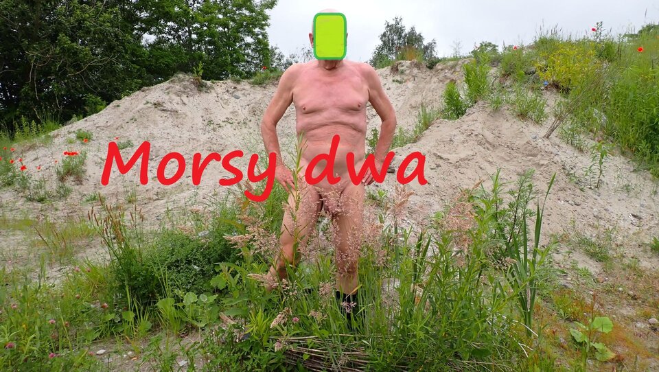A teraz tak. - Morsy_dwa