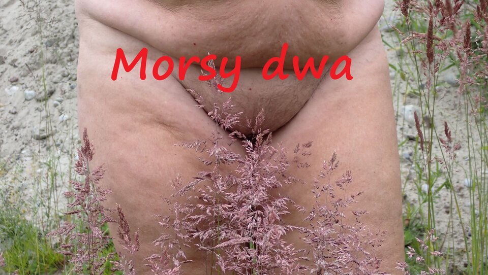 A trawka łaskocze. - Morsy_dwa