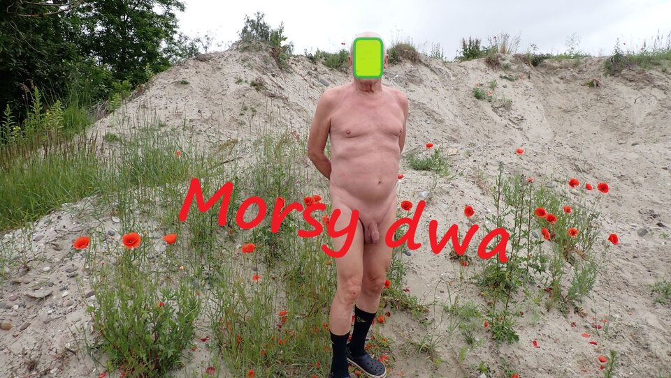 Plener po drodze. - Morsy_dwa