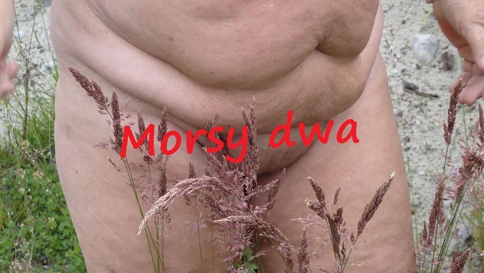 A trawka łaskocze. - Morsy_dwa