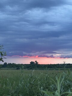 IMG_7435.jpeg
