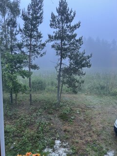 IMG_7396.jpeg