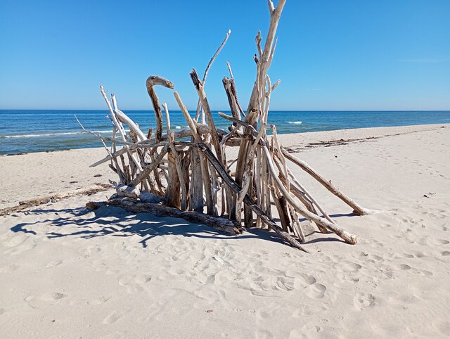 parkawarmia
