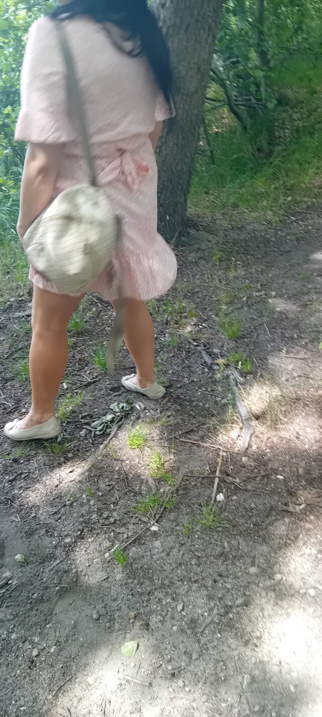 ciasteczka2