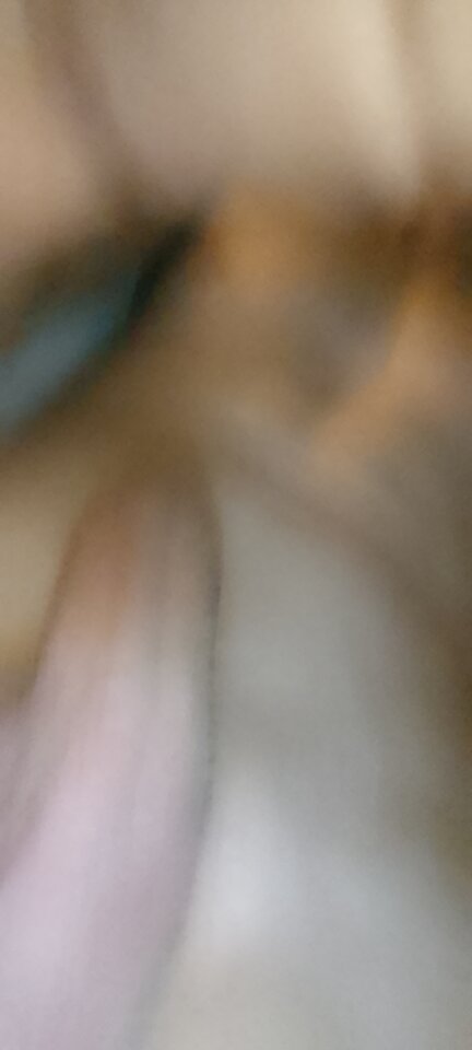 1000023254.jpg - Lubieznik50