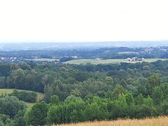 20260621_085258.jpg