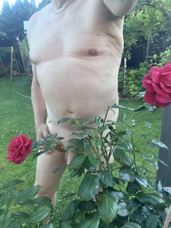 IMG_8649.jpeg