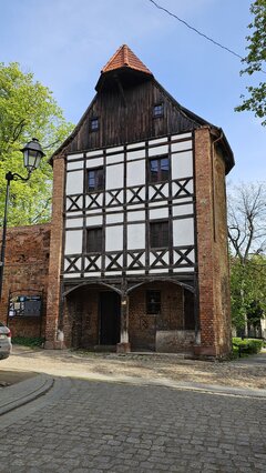 20250421_093850.jpg