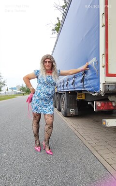 3375.jpg