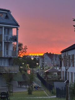 IMG_0626.jpeg