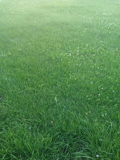 20260623_194232.jpg