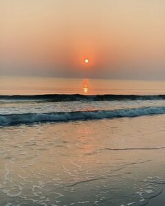 IMG_5409.jpeg