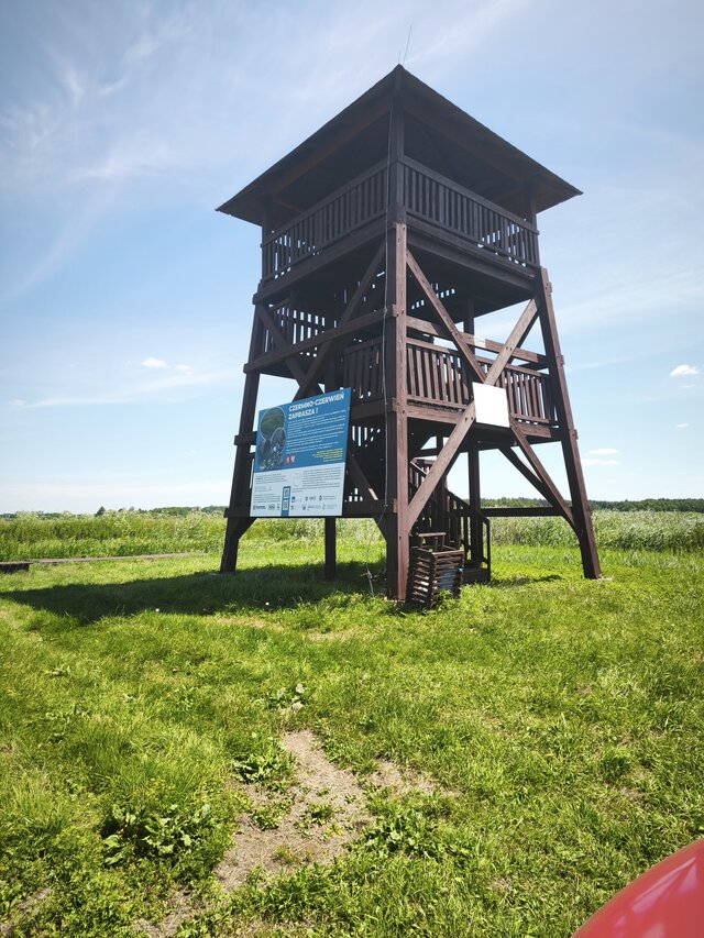 Spokoloko41