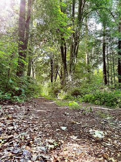 IMG_20260625_091800.jpg