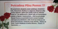 20260621_094454.jpg