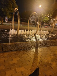 20260619_235452.jpg
