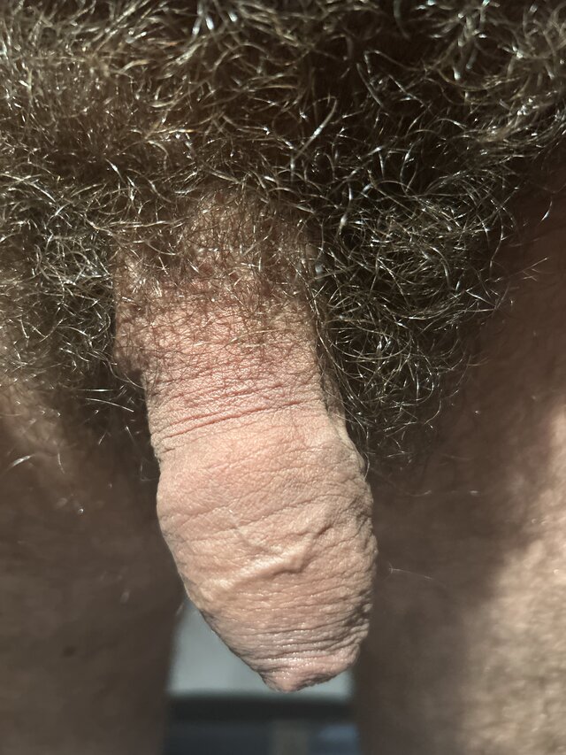 cccpppaste