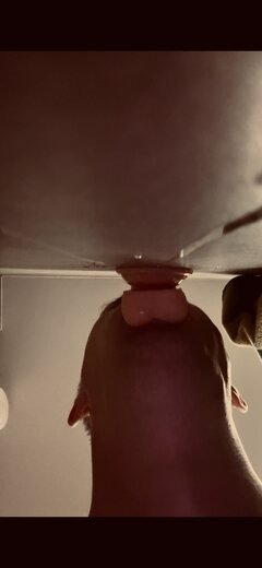 IMG_7713.jpeg