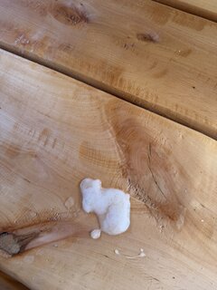 IMG_0371.jpeg