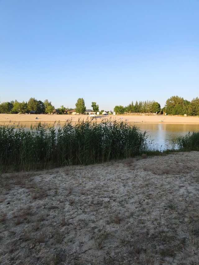 Zwyczajny5