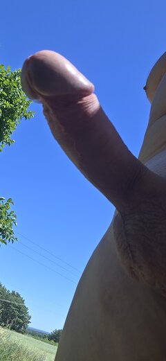 1000071311.jpg