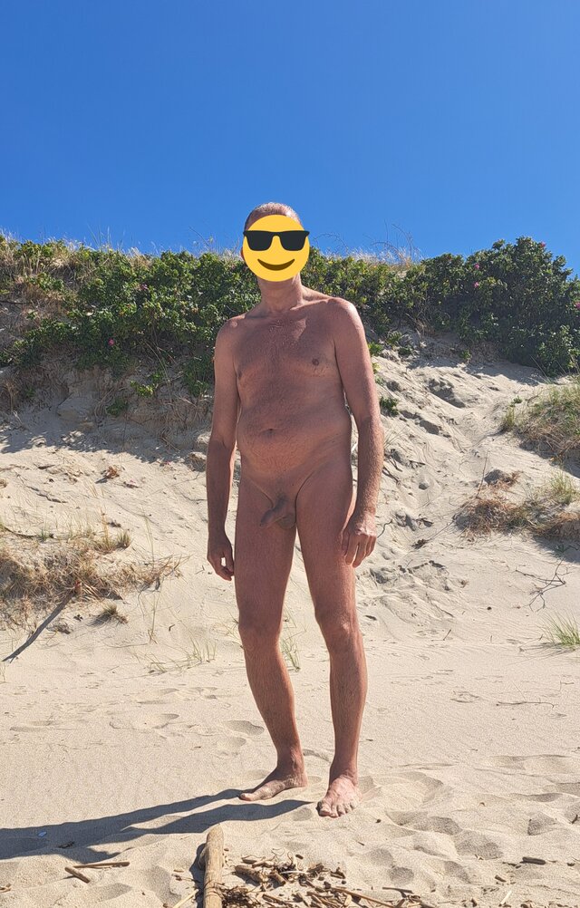 Miras66