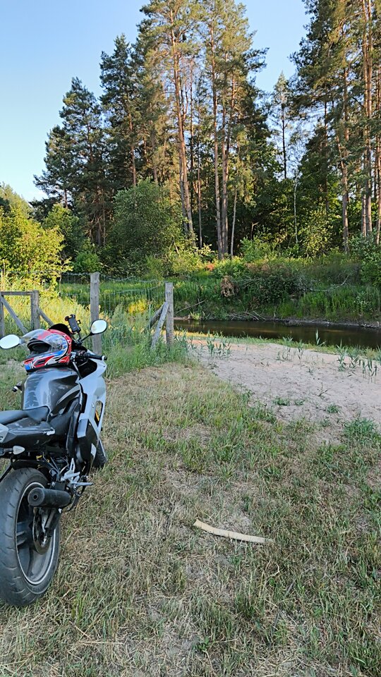 1489.jpg - Zwyczajny5