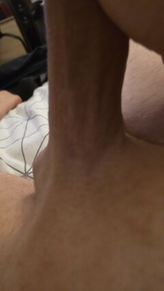 3594.jpg