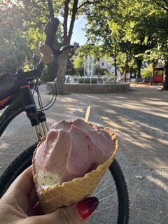 IMG_6953.jpeg