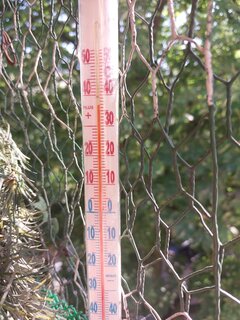 20260627_175504.jpg