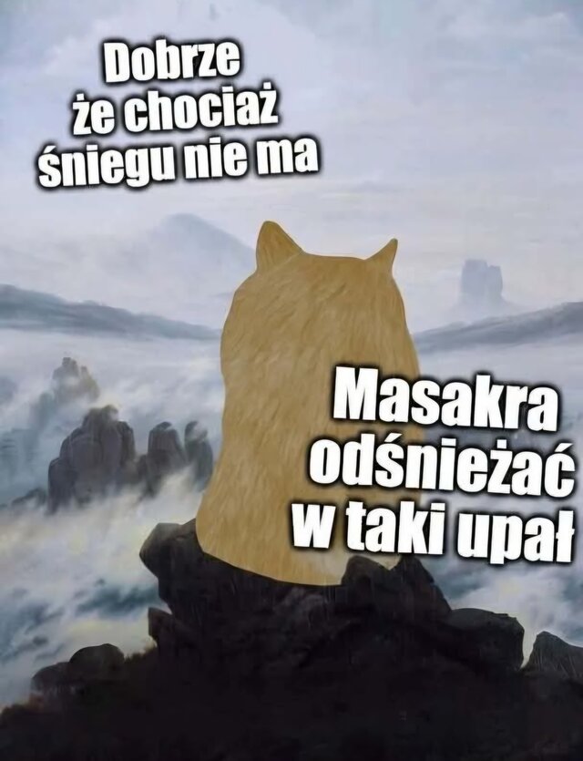 Diego_48